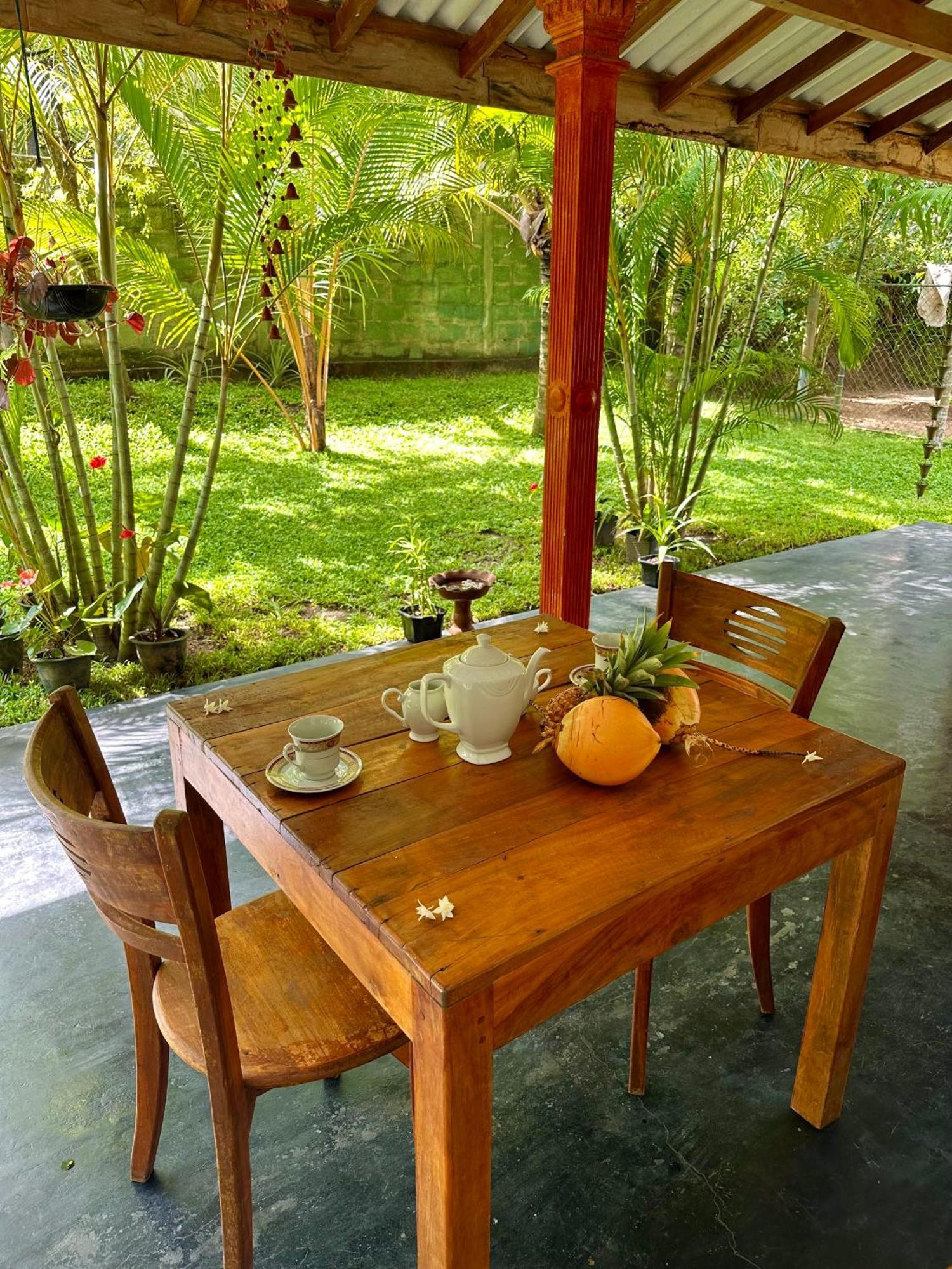 Jasmin Homestay Marakolliya Tangalle Exterior foto